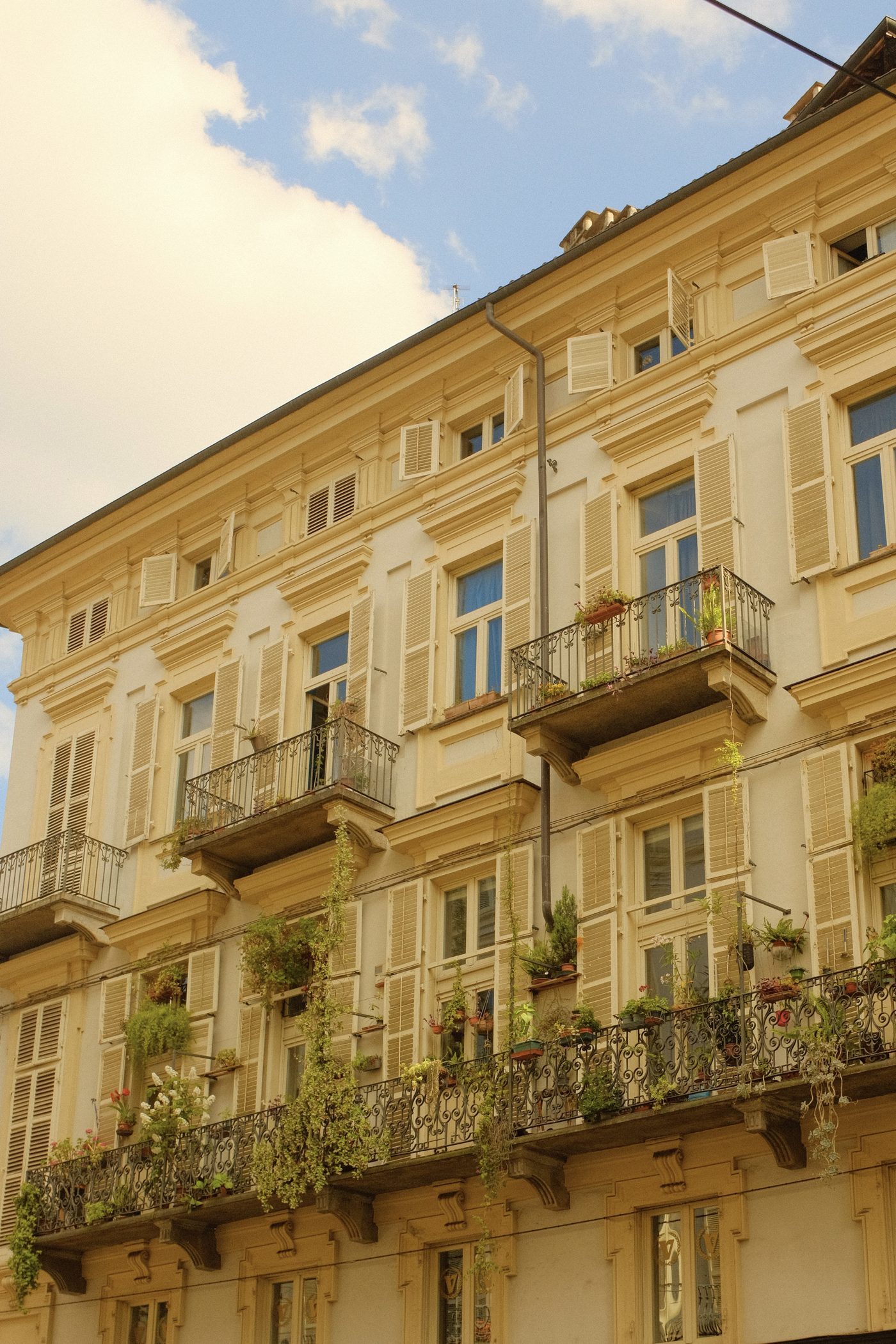 Balconies and geraniums