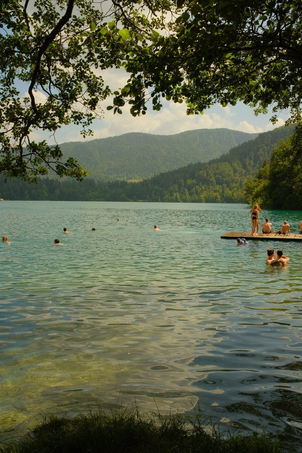 Where everyone swims