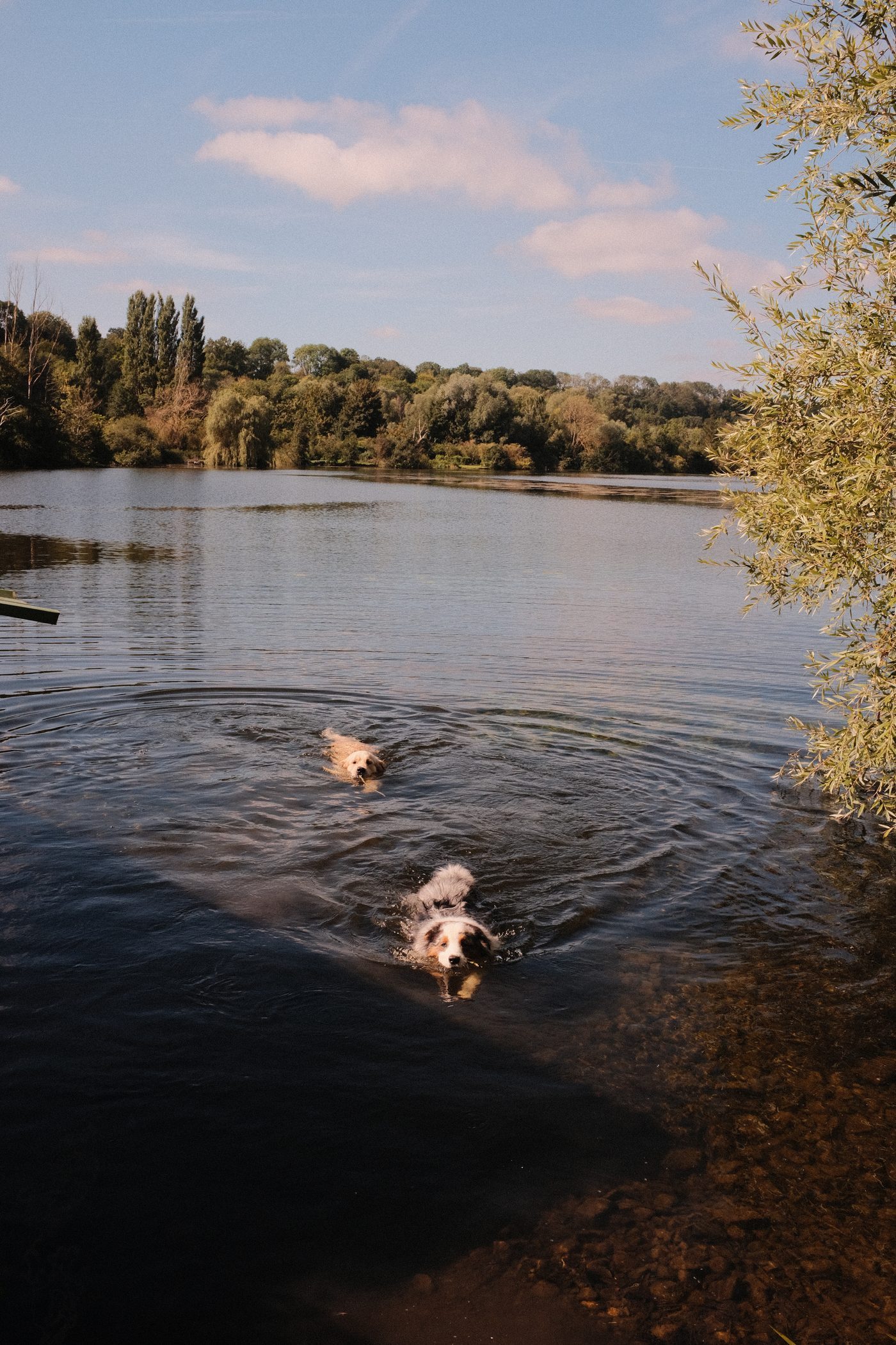 Two swimmers in August