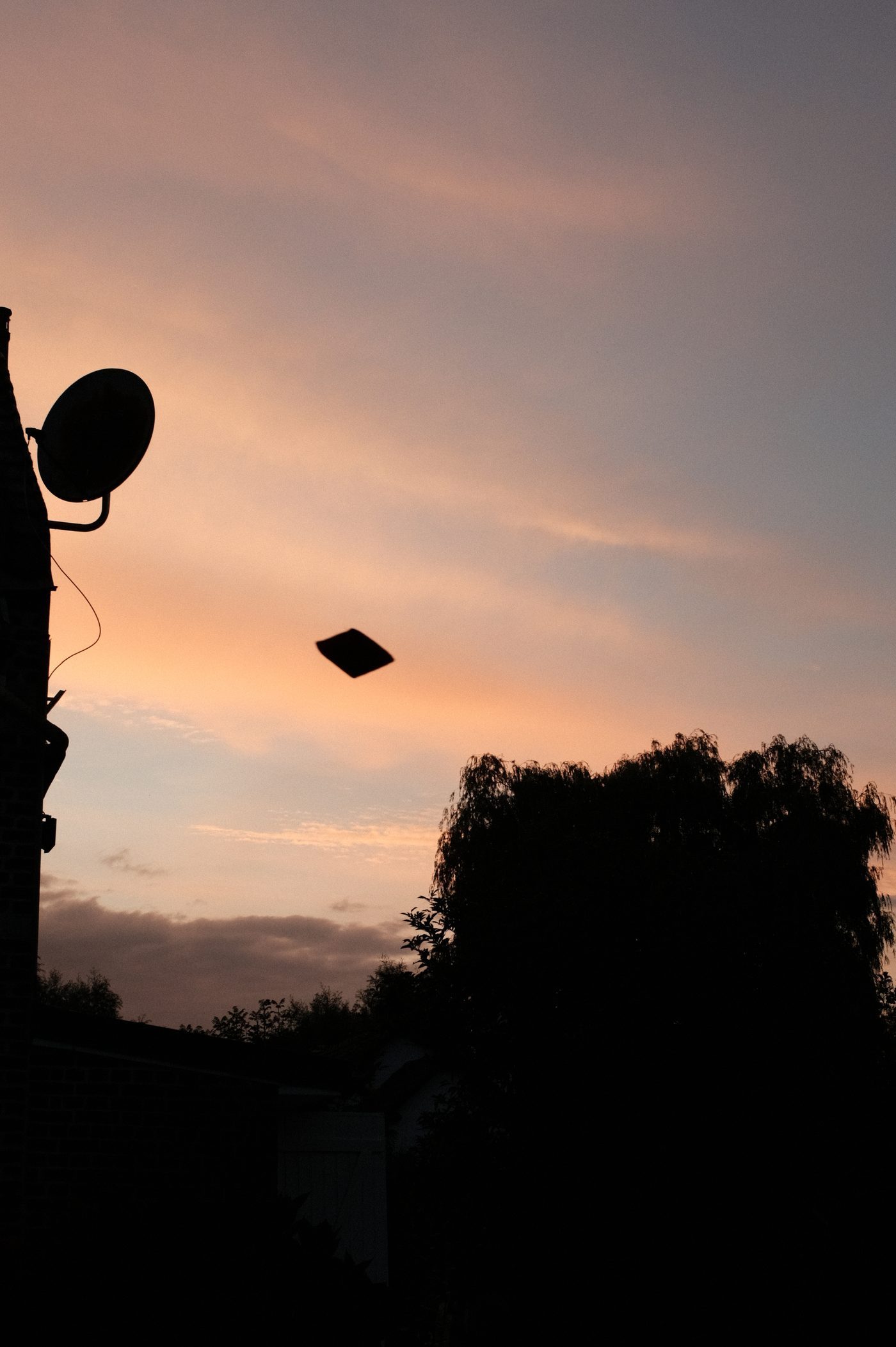 A kite at dusk