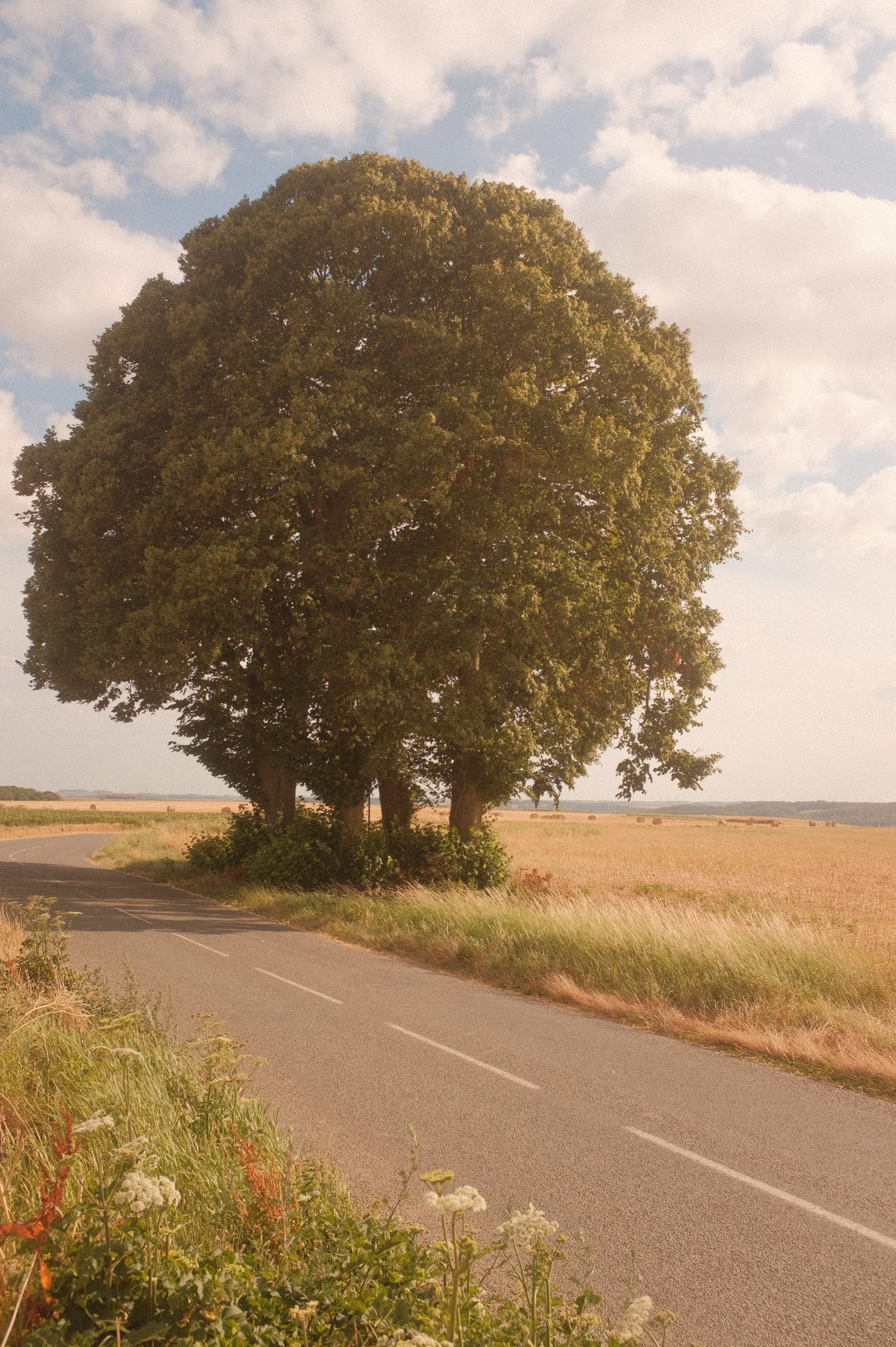 Along the Somme