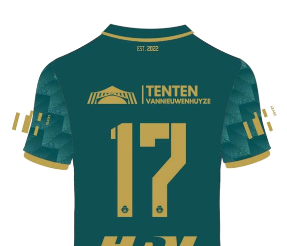 Shirt achter