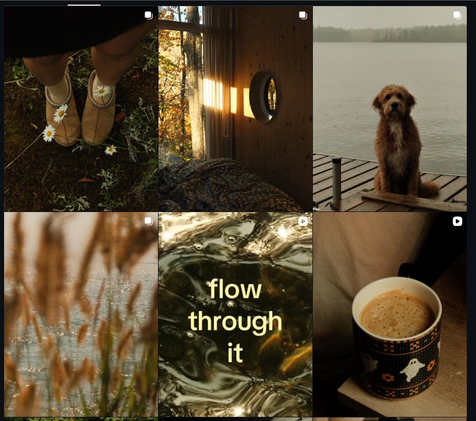 Soleo Studio Instagram feed with cozy Canadian nature photography and Teddy the dog