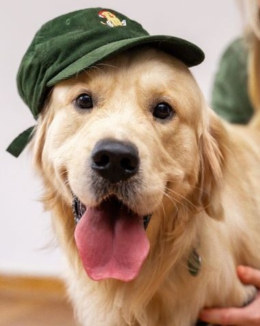 Bono with Pups cap